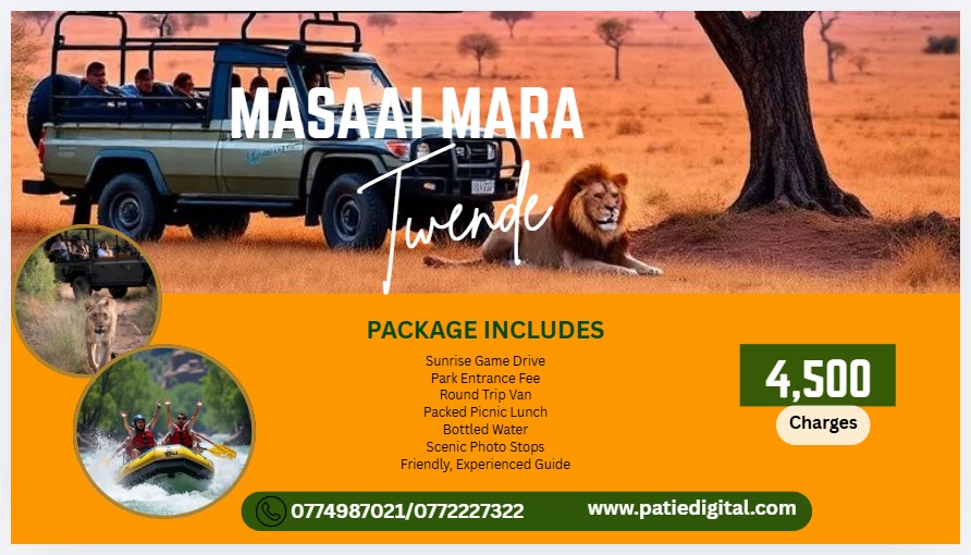 Promotional Design preview